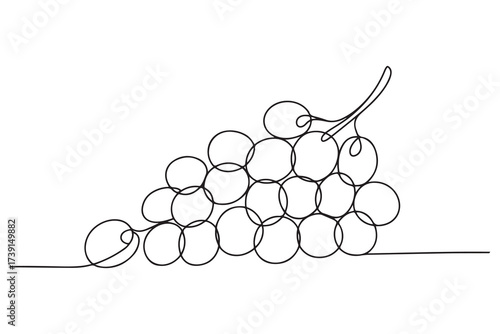 Continuous one line drawing grapes. Vector illustration of grape isolated. one line Icon drawing with white background