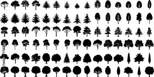 Collection of diverse black tree silhouettes isolated on a white background for design elements