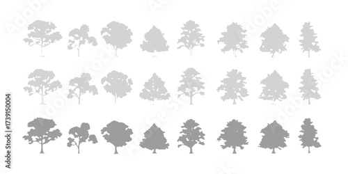 Collection of diverse grey tree silhouettes isolated on a white background for design elements