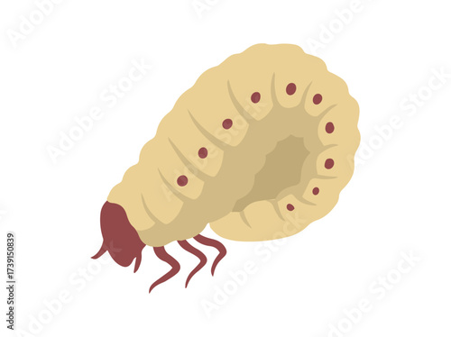 Maggot Sango Worm Illustration