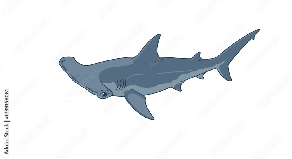 Obraz premium Vibrant hammerhead shark in profile on white background