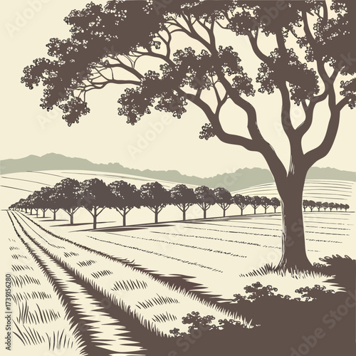 Vector art of a picturesque orchard scene unfolds, with rows of trees stretching into the distance, their branches laden with fruit, promising a bountiful harvest in the countryside landscape
