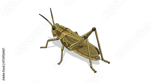 Detailed grasshopper artwork in modern digital style on white background