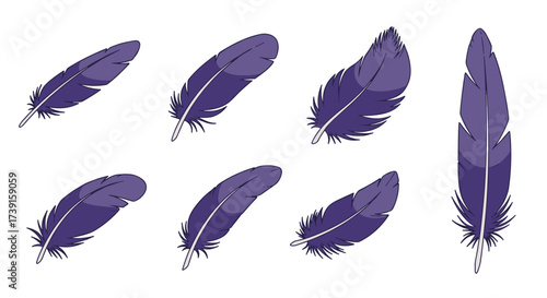 Purple feather set: unique flat feather designs in various forms
