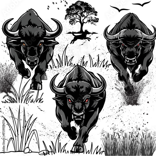 Bull's running 