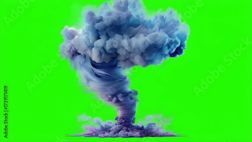 tornado's structure, including the funnel cloud, debris cloud, and surrounding winds.