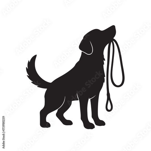dog holding a leash in it's mouth
