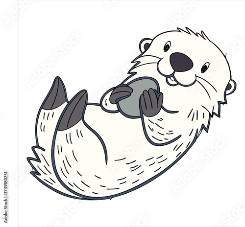 sea-otter