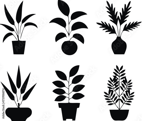 Collection of six potted houseplant silhouette vector illustrations for scalable graphic design projects silhouette vector illustration white background