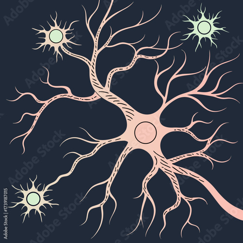 Illustration of nerve cells with branching dendrites and axons against a dark background showing connections