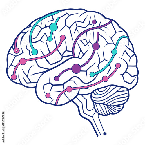 Stylized brain illustration with colorful connected nodes and lines representing neural networks activity