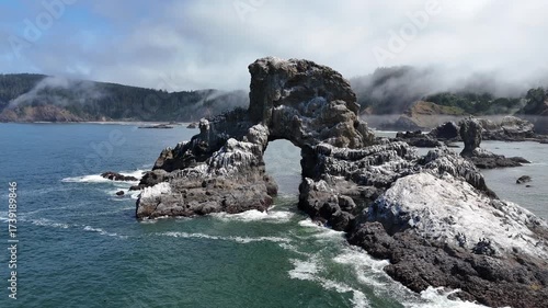 Sea Lion Rock Indian Beach Pacific Ocean