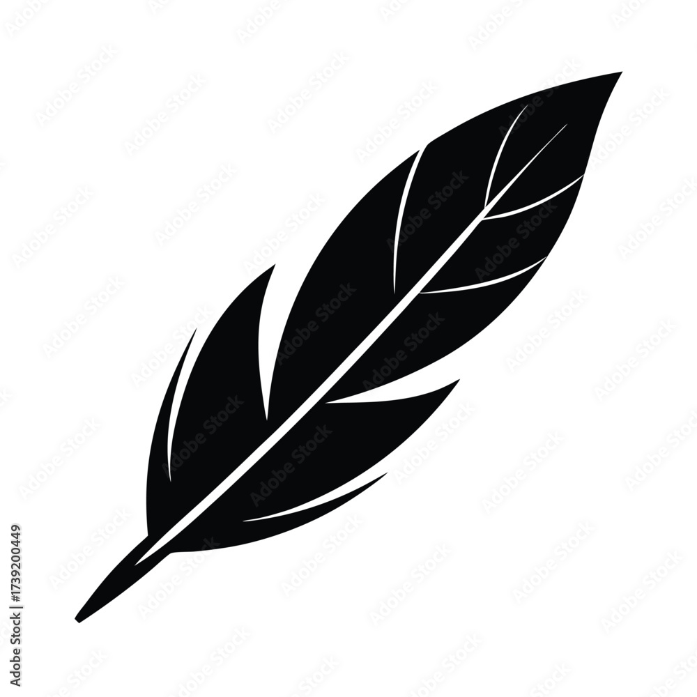 Obraz premium Eagle Feather Minimal