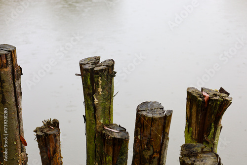 Five old, moss-covered wooden posts jut out of the water or ground, creating a textured foreground. Their dark bark and cracks contrast with the blurred, gray water surface reflecting the gloomy sky, 