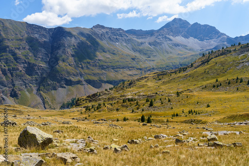 Fototapeta Naklejka Na Ścianę i Meble -  Golden mountain meadow under a vast blue sky