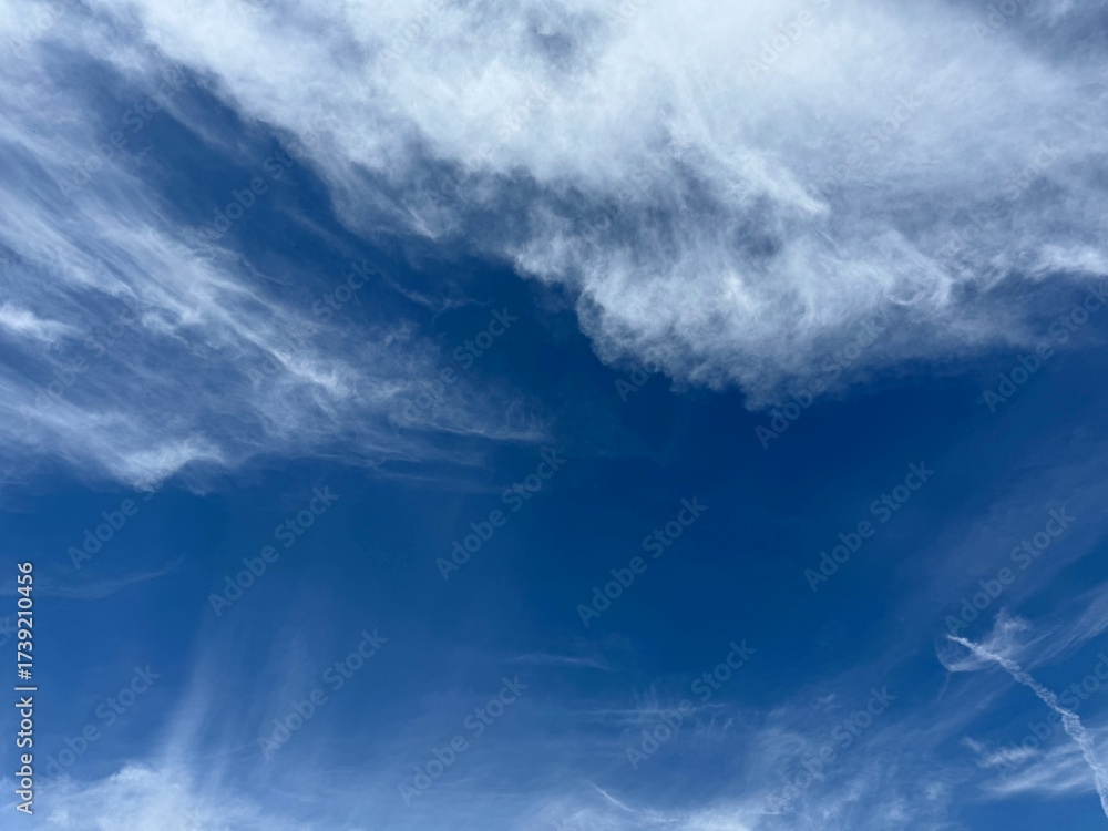 Fototapeta premium White fluffy clouds in blue sky.