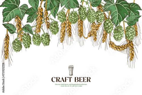 Wheat and hop branches background for brewery