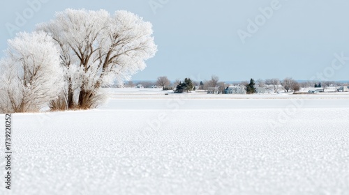 Frost-kissed trees stand serenely on a snowy prairie, evoking Solstice Festival's quiet renewal and Imbolc's icy embrace