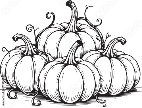 A bountiful harvest of intricately detailed pumpkins sits, showcasing nature's seasonal bounty in stunning monochrome. Capturing the essence of autumn's charm.