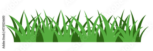 Green grass on white background. Vector illustration