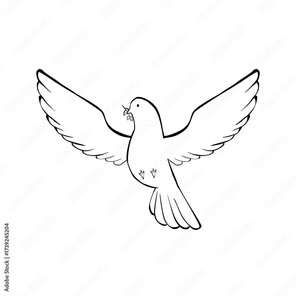 Fototapeta premium Set of cute pigeon and dove bird illustrations in line art, silhouette, and cartoon styles, isolated on white background.