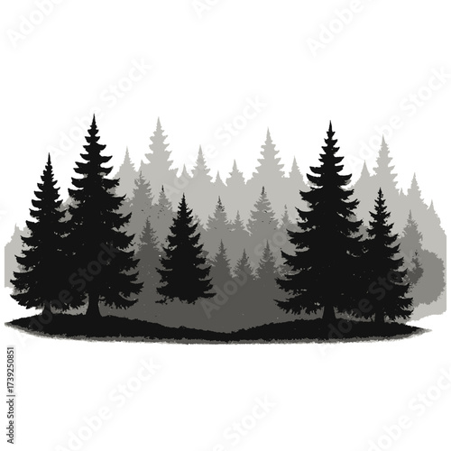 Silhouette illustration of a dense pine forest with layered trees in black and gray tones.