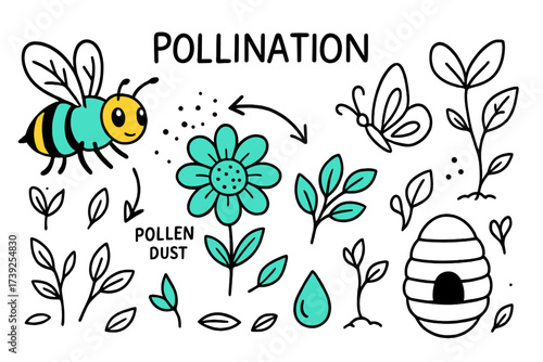 Pollination Doodle Art. Pollination. Hand-drawn doodle illustration pollination bee (colored), flower (colored), pollen dust, butterfly, fruit sprout