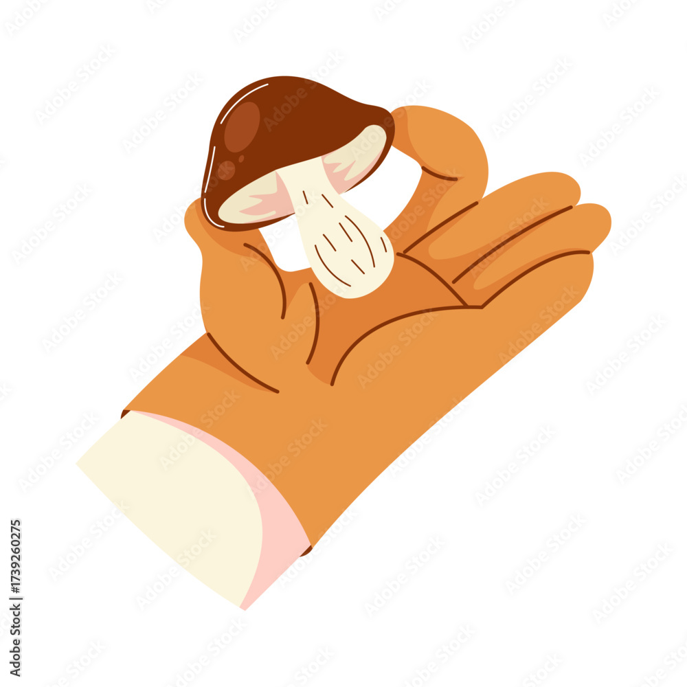 Obraz premium Hand holding a brown mushroom against a white background