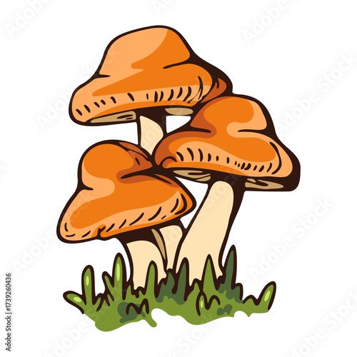 Illustration of three orange mushrooms with white stems and green grass