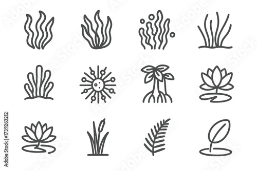 Marine Plant Icons. Marine plants. Line icon set of marine plants: seaweed, kelp, algae, seagrass, coral polyp, plankton, mangrove root, lotus, water lily,