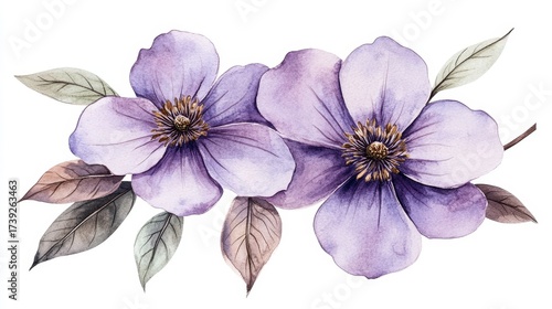 Lavender in bloom is beautifully captured in a watercolor painting with vivid hues