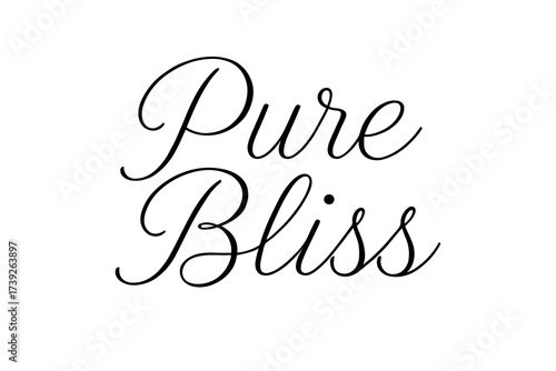 Calligraphic Pure Bliss. Pure Bliss, thin line calligraphy, smooth curves, balanced composition, clear readable letters, consistent style, none, horizontal