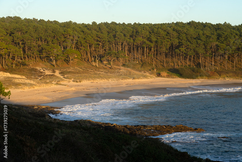 Melide beach surrounded by a pine forest in Home Cape natural zone at sunset in Rias Baixas. Pontevedra, Galicia, Spain.