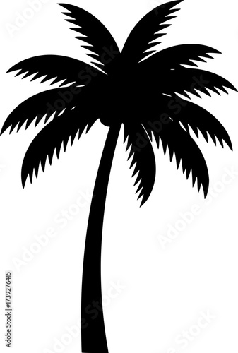 black and white silhouette of a coconut tree vector on a white background
