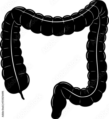 black and white silhouette of the intestines vector on a white background
