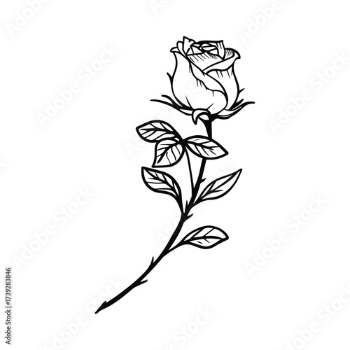 Vintage Rose Black and White Line Art