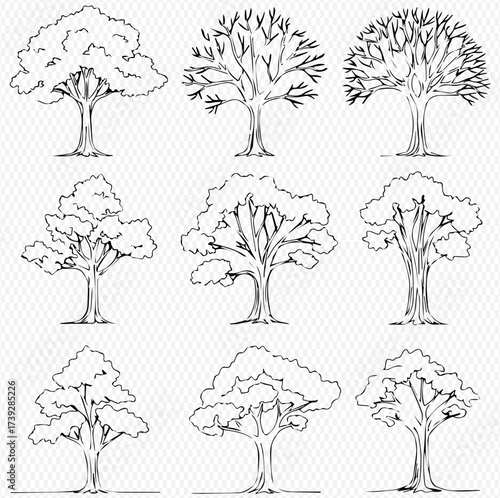 A collection of nine hand-drawn tree sketches, showcasing various forms and foliage types in detailed line art.