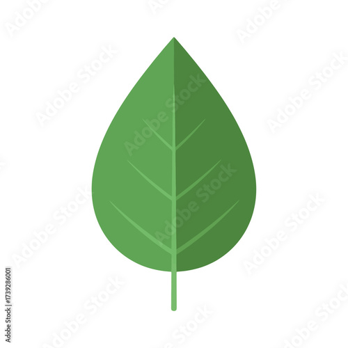 Fresh green leaf illustration for natural designs and eco-friendly projects needing a simple organic element