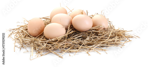 Chicken eggs in nest isolated on white