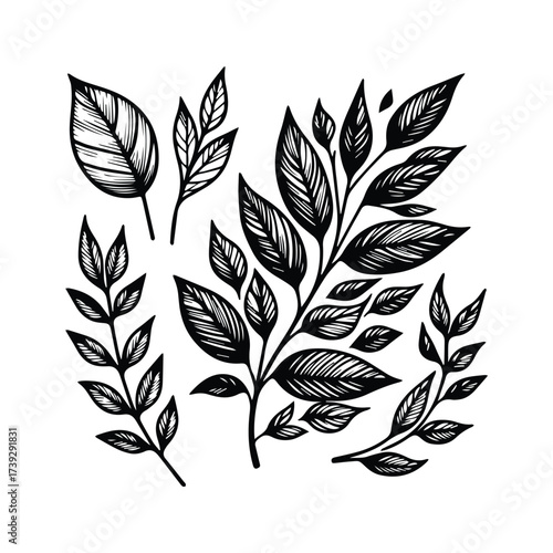MInimalist Botanical Leaf Monochrome Art