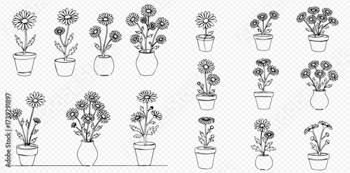 Collection of hand-drawn line art illustrations featuring various potted flowers and floral arrangements in vases.