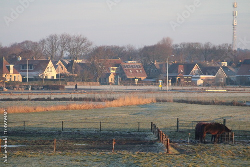 early morning