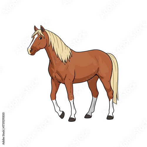 Detailed Horse Design