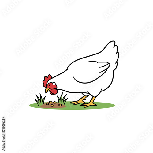 Chicken eating