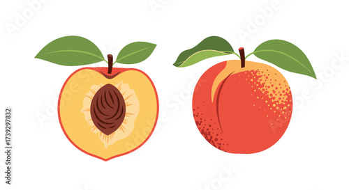 A juicy whole peach alongside a perfectly cut peach revealing its pit and flesh.