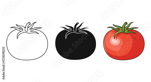 Three distinct representations of a ripe red tomato including an outline a silhouette and a colored illustration.