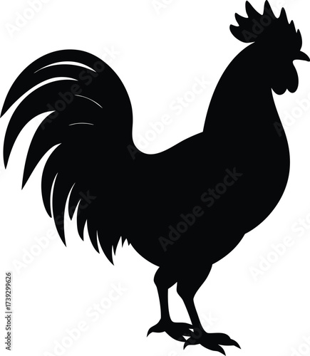 Vector silhouette illustration of a rooster or cockerel farm bird isolated on a white background