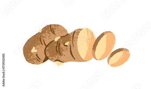 Cutted potato tuber icon. Root vegetable is chopped into round slices. Healthy product, farm plant, agriculture crop for eating. Autumn harvest. Flat isolated hand drawn vector illustration on white