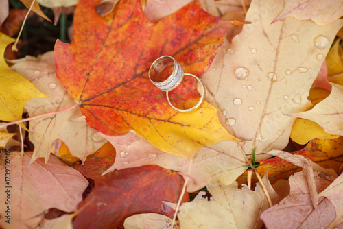 yellow wedding rings and red maple leaves lie on a wedding ring on the ground