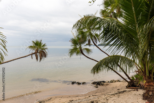 Fototapeta Naklejka Na Ścianę i Meble -  Beautiful palm trees and white sand beach at playa blanca in livingston guatemala